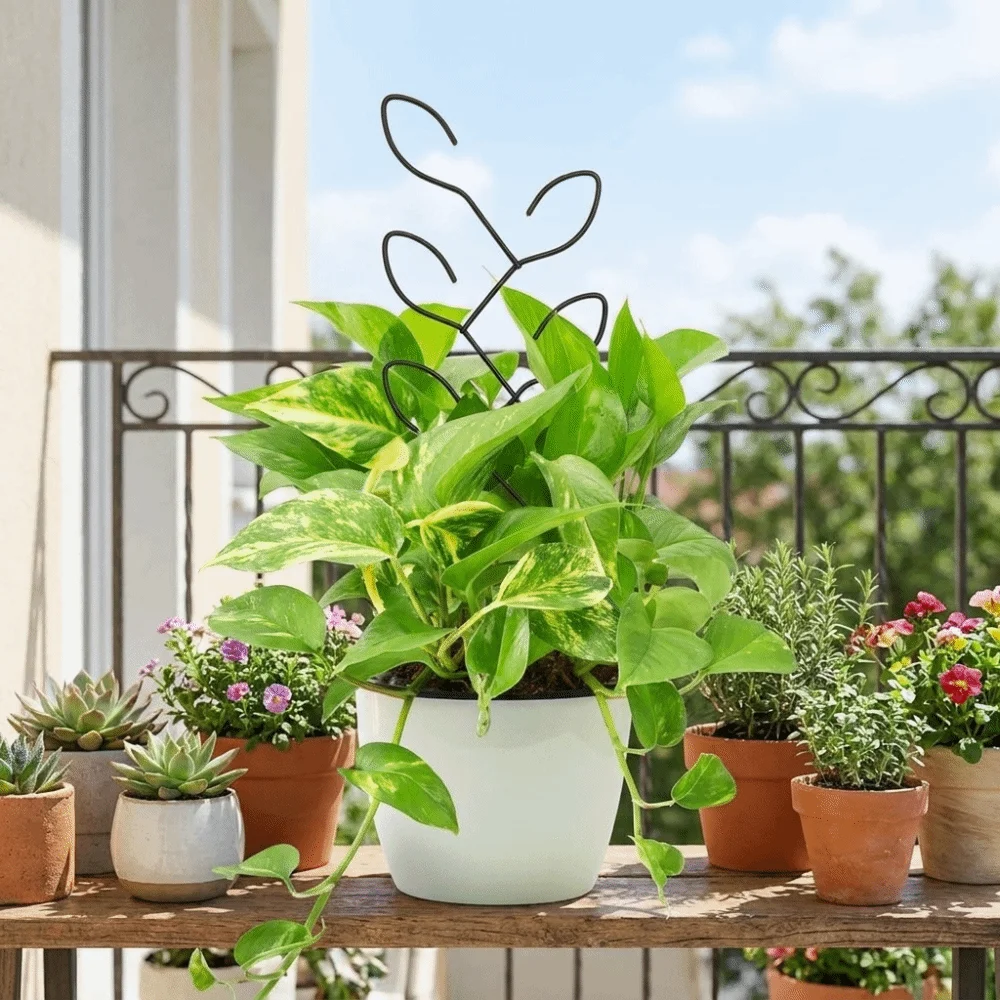 Climbing Pole Iron Plant Climbing Frame Vertical Growing Creative Plant Support Frame Fixed Stake Flower Support Home Decor