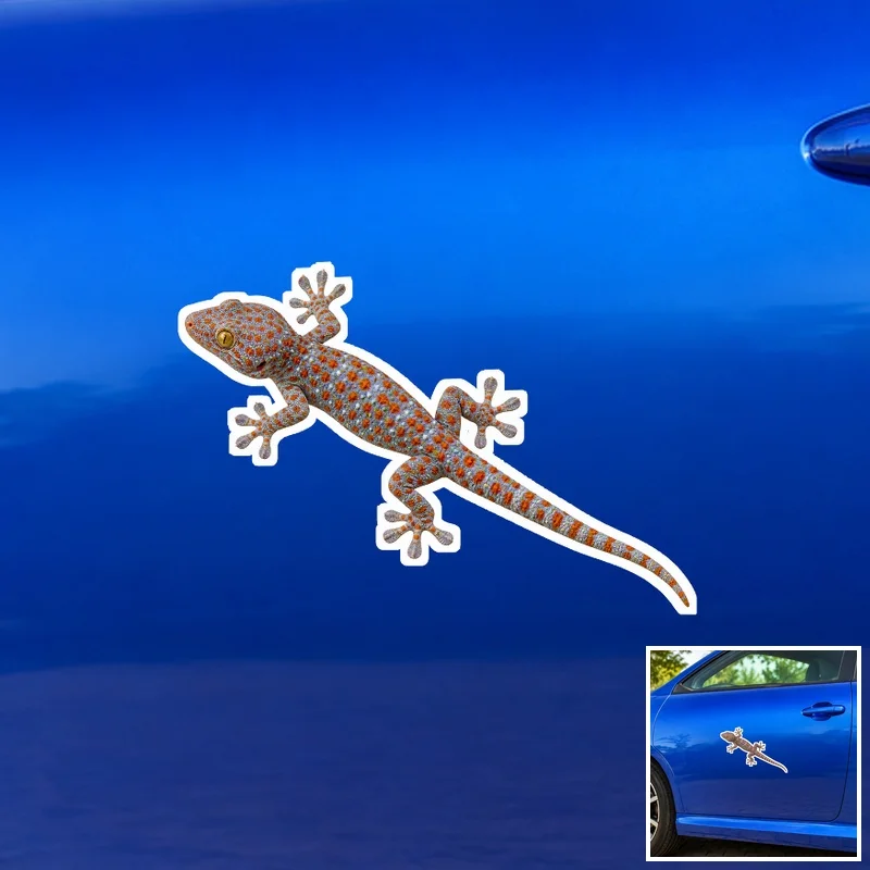 Realistic Orange Spotted Gecko Car Decal, Full Color Waterproof Printed Vinyl Decal for Car Truck Window and Body Decoration