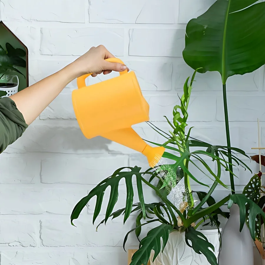 700ml Mini Watering Can for Indoor Plants, Small Watering Cans for House Plant Garden Flower, Watering Garden Home Watering Ket view 3