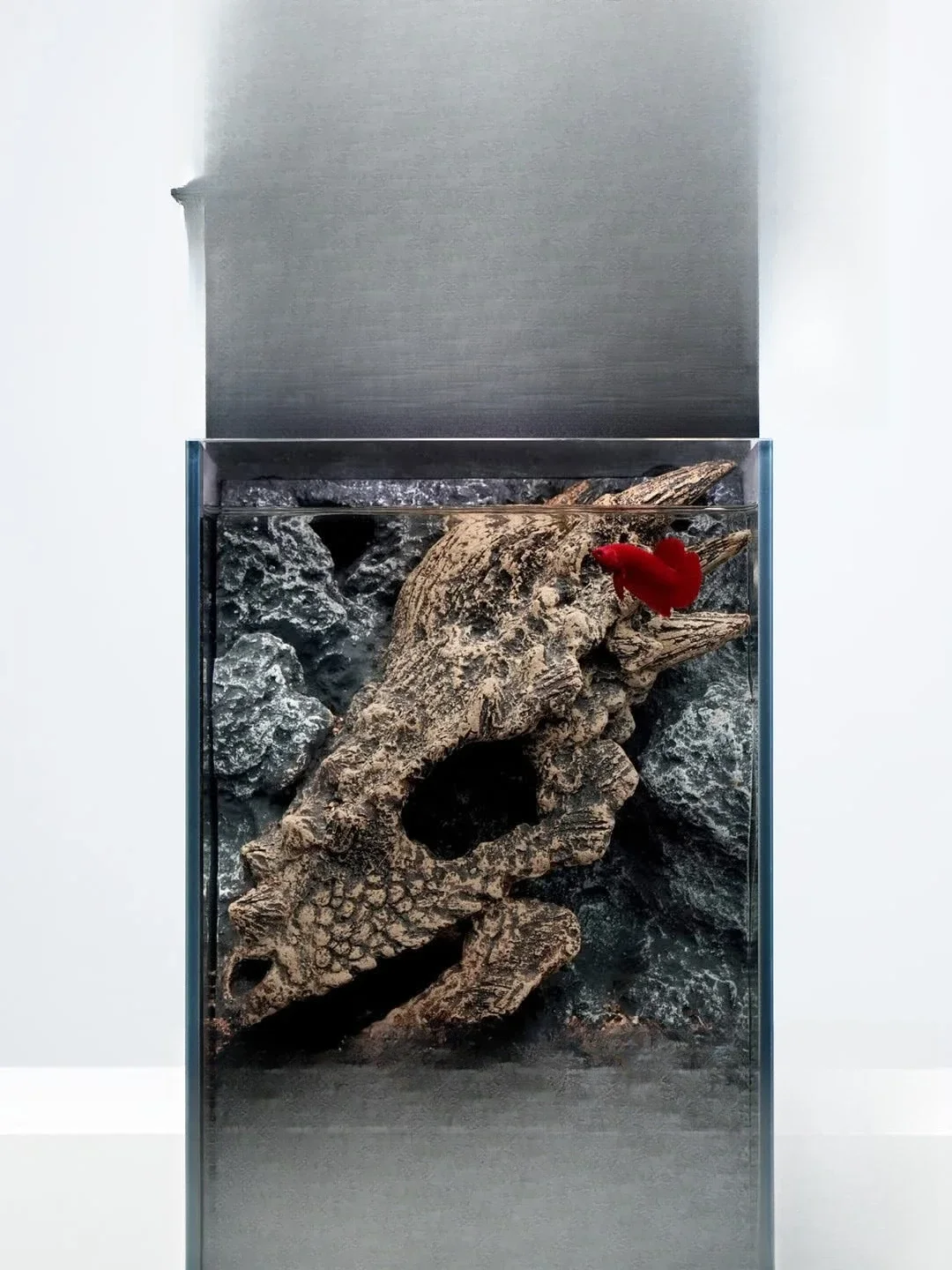 Ancient fossil series new model for swollen-head arowana aquarium landscape, ultra-clear glass betta tabletop landscape aquarium