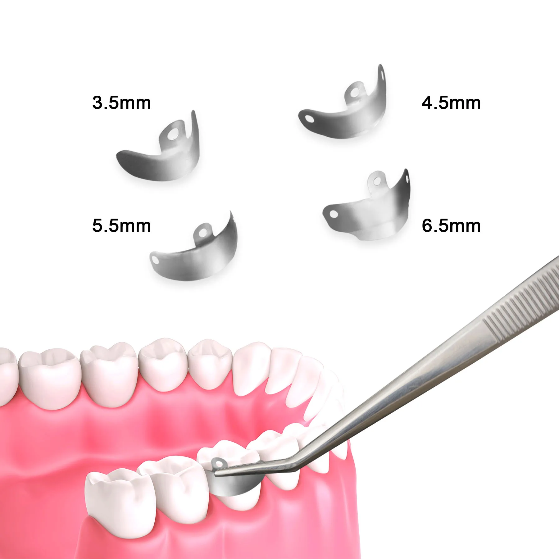 50PCS/Box Dental Metal Matrices Sectional Contoured Matrix Refill Forming Sheet Resin Clamping Seperating Ring Dentistry view 2