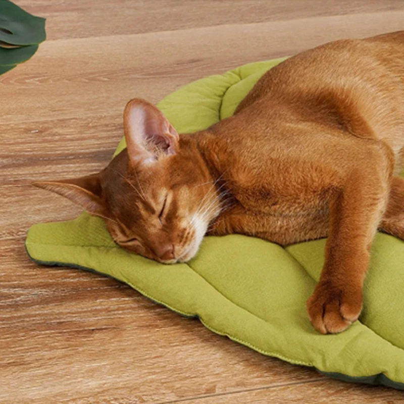 Alfombra de hoja suave para gatear para niños, tapete de doble cara, almohadilla para dormir, decoración del hogar, Otoño e Invierno