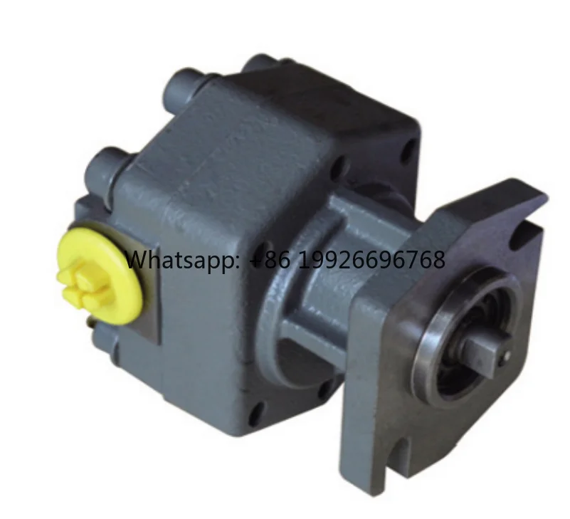 

Electric Forklift Spare Parts Steering Pump & Hydraulic Pump
