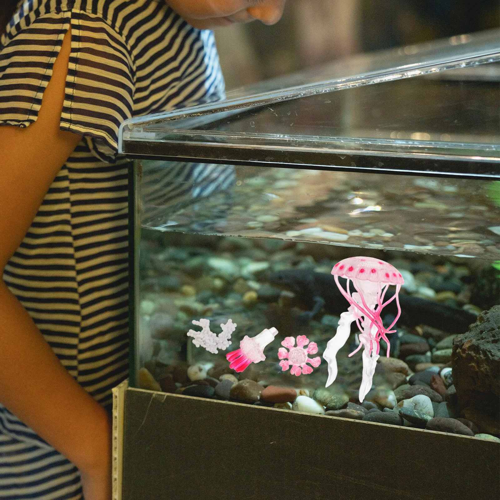 

Jellyfish Ornaments Cycle Life Toy Growing Animals Toys for Kids Figures Plastic Decorations Child Early Learning