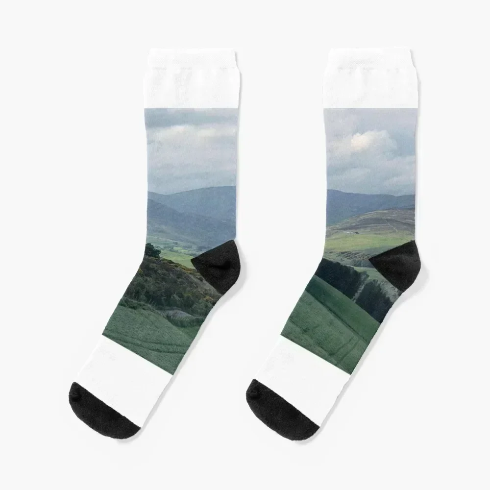 

High and Low Socks cartoon funny gifts golf Lots Socks Male Women's