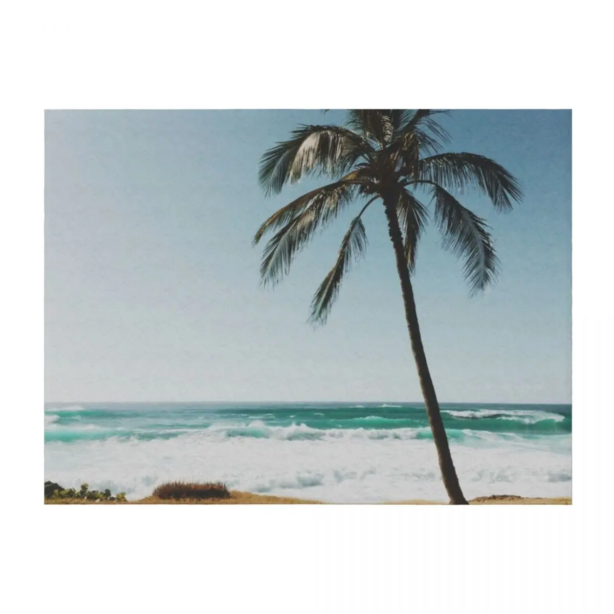

Palm Tree By The Beach Throw Blanket cosplay anime Sofa Sleeping Bag For Decorative Sofa Blankets