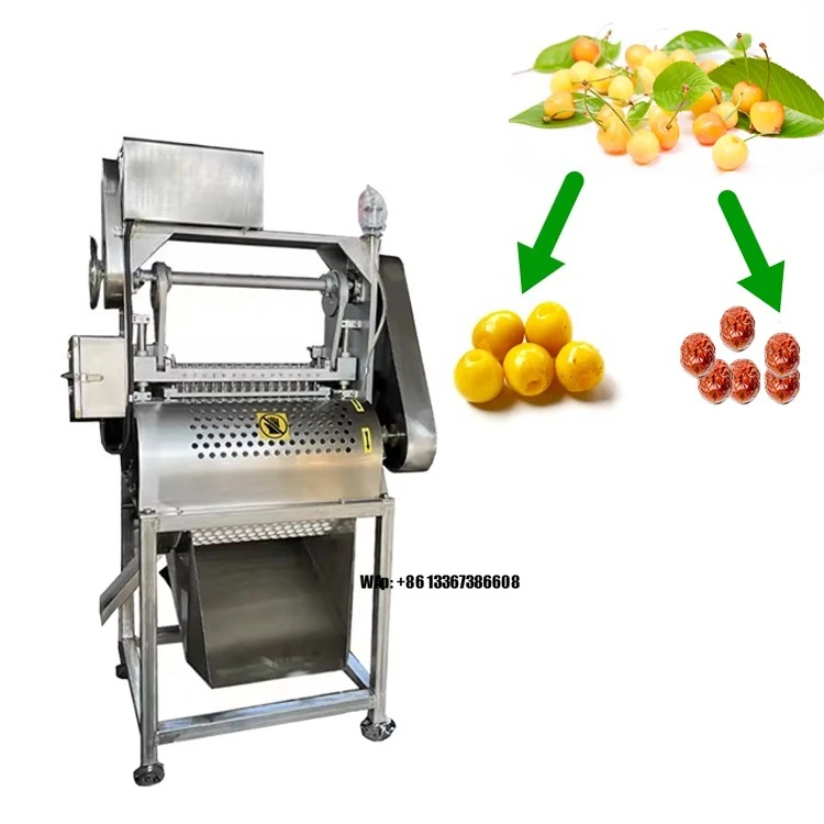 The most popular cherry pitting machine 380V fruit processing machine 1.5kW motor 250-500kg/h output, with high-quality conveyor