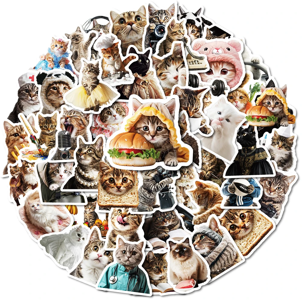 10/30/50pcs Funny Cat Meme Stickers Waterproof Graffiti DIY Phone Case Water Bottle Scrapbook Cute Animal Kitten Decals Kids Toy