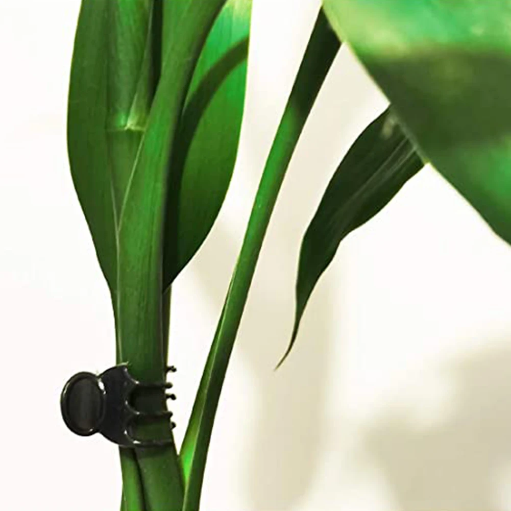 20 Clips Para Orquídeas Para Jardinería, Clips De Fijación De Vid De Plástico Resistentes Para Apoyar Picos De Flores Y Verduras Trepadoras — -50%, $0.57 Coupon, from $0.57 – 50% descuento – €0.57