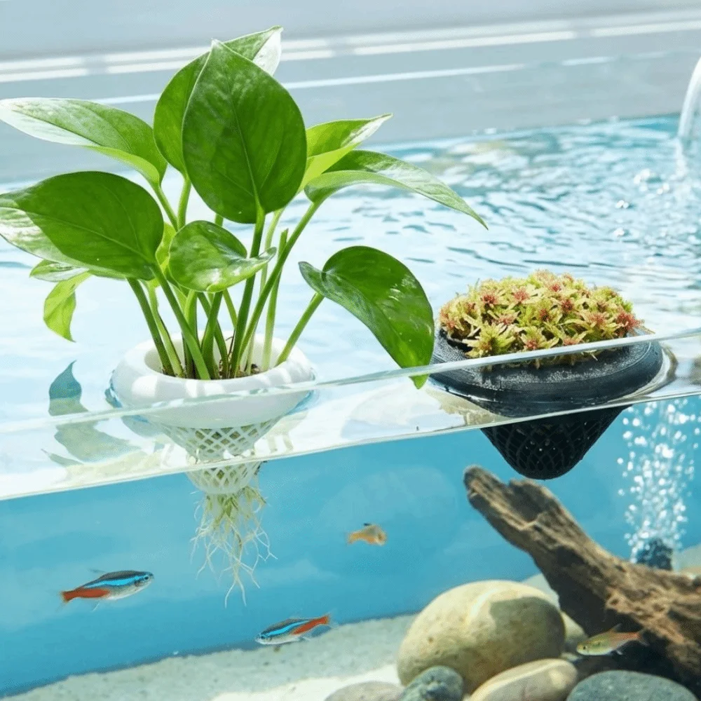 

3D Printed Floating Aquarium Planting Basket Growing Pots Plastic Hydroponic Plant Basket Decorative Fish Tank Water Purifier