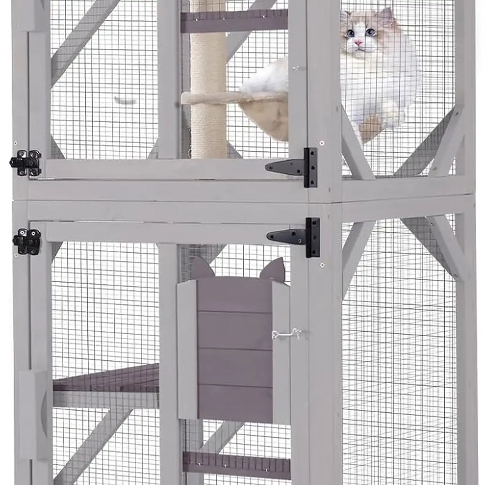 62.5 Multi-Level Ou… - image