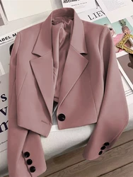 Frauen Blazer 2024 neu im Frühling Herbst Büro Dame kurze Jacke Frauen Frauen Kleidung schicke elegante jugendliche Frau Kleidung Oberbekleidung