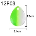 12PCS Type-1