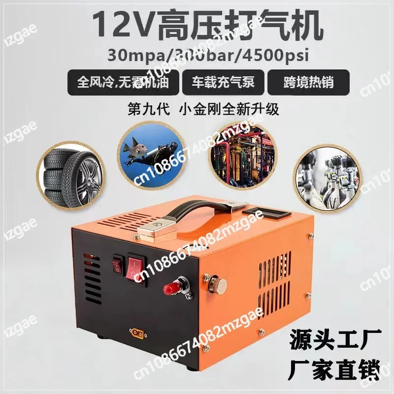 Car 12V Electric High Pressure Pump 30mpa Household Compressed Air  Outdoor Submersible Breathing Pump