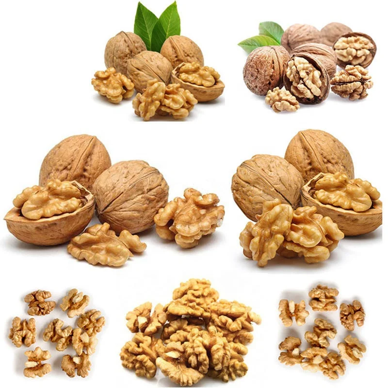 200KG/h Electric Huller Cracker Sheller Walnut Nuts Pecan Peeling Machine Nut Cracking Machine