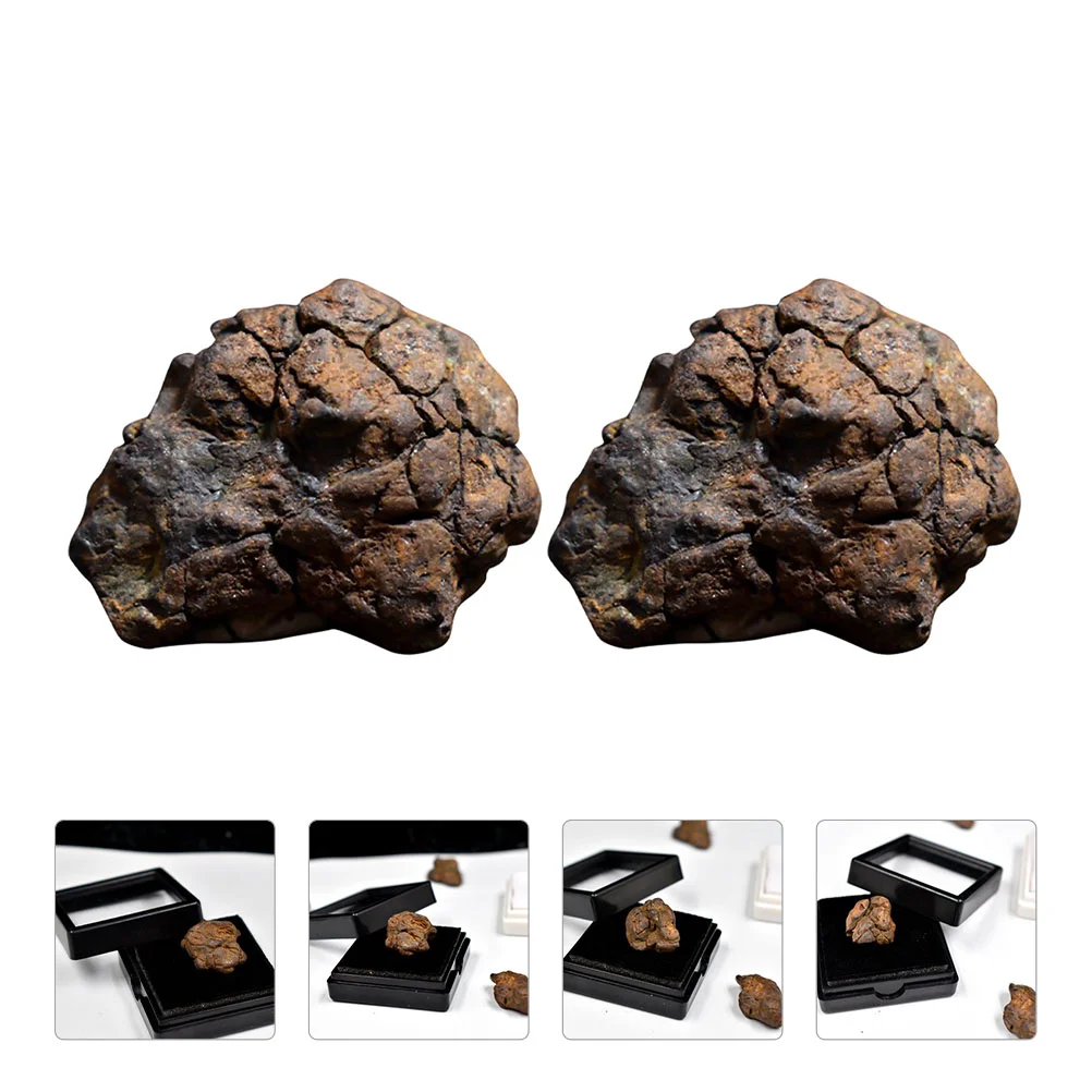 2 Pcs Olive Meteorite Decor Model Desktop Decoration Children Toys Ornament