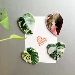 4pcs Plant leaf Acrylic refrigerator magnet decorative patch acrylic simulated pink princess leaf