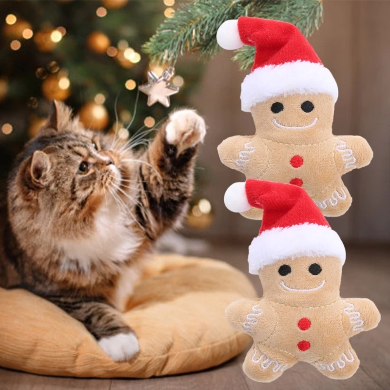 R1WA 2PACK CATS مريح لعبة PET ATY AGURSPRUSION CATS SMALL CATS TOY TOY TOY TOUY TOUTISTANCE