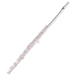 Professional Traversa Flutes 16 17 Hole Tenor Flute Luxury Miniature Musical Instrument for Adultsjavascript Alto Saxophone