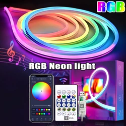 5V RGB Neon Strip Light 1M 2M 3M 5M USB Waterproof Flexible Ribbon Tape Neon Lights With Bluetooth Remote Control For Home Decor