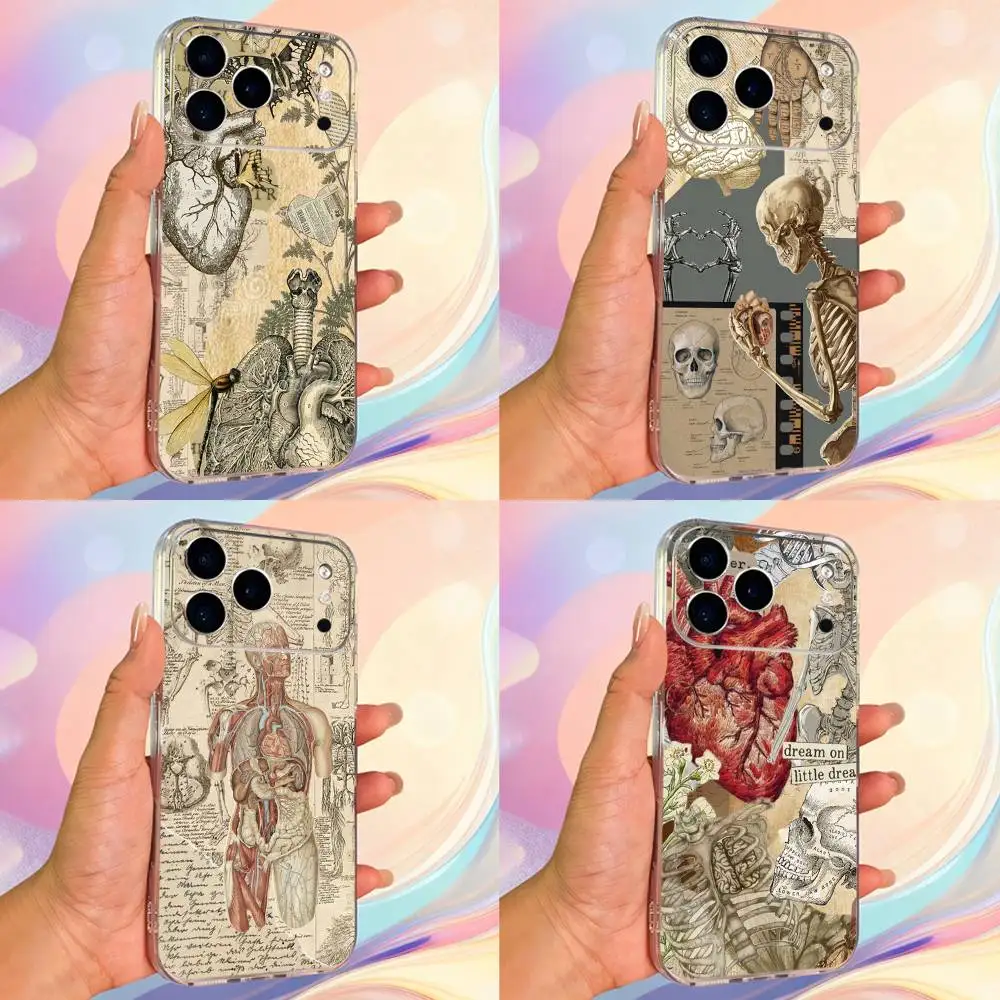 حافظة هاتف تشريح الإنسان للفن الطبي لهاتف آيفون 14,13,12,11,17,16,15,Pro,Max,Plus,X,XS,XR,SE,غطاء ناعم شفاف صغير