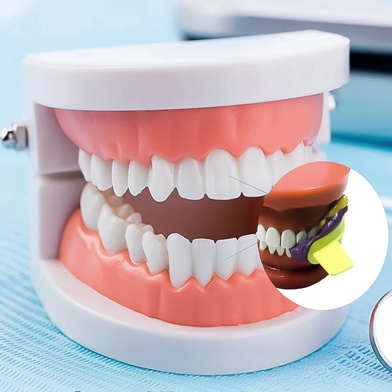 Dental Disposable Thin Mesh Denture Take Mold Denture Partial Denture Bite Record Soft Denture Comfortable And Convenient