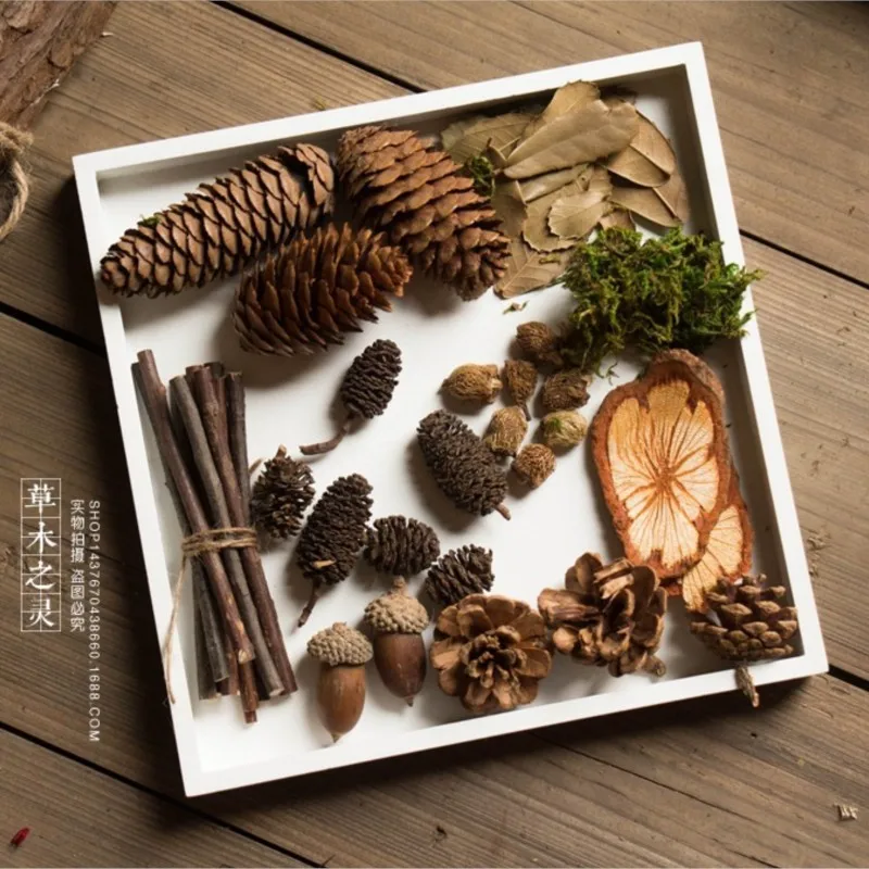 فروع الصنوبر الاصطناعية لكشك الصور ، الدعائم المفيدة للفتاة ، الحرف ديي ، طفل الغابات ، دعامة التصوير الفوتوغرافي