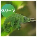 Green chameleon