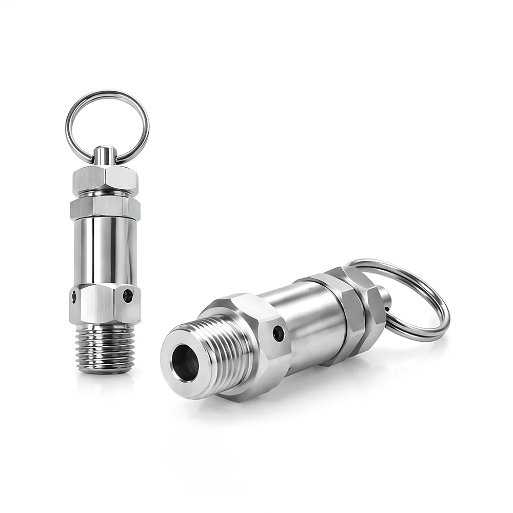 SS304 Mini Spring Automatic Safety Valve BSPT/NPT 1/8