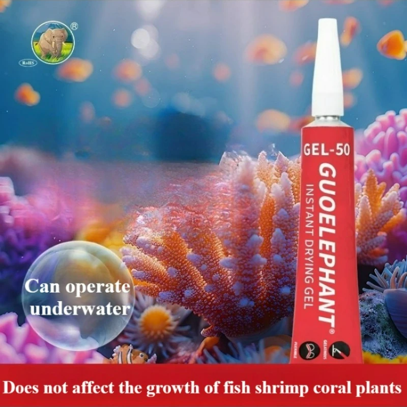 Sps Lps Coral Reef … - image