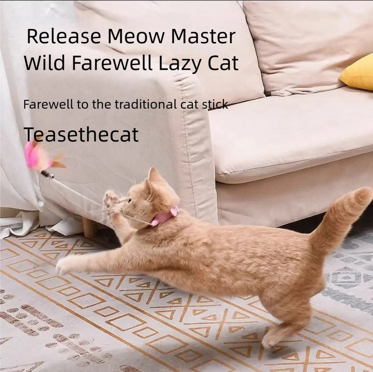 #67 New Cat Wand Toys Arrivals