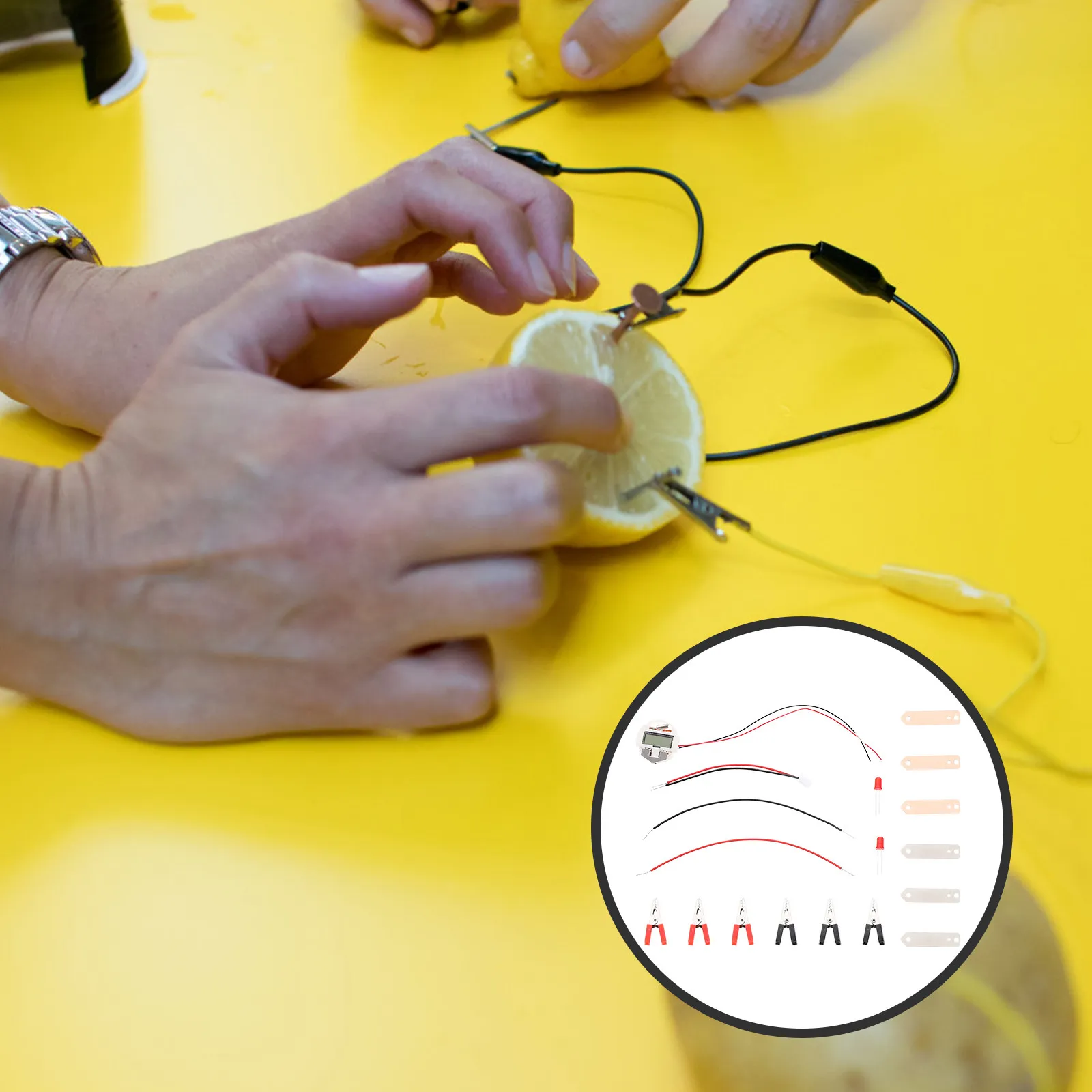 

1Set Fruit Physics Experiment Kit DIY Generation Educational Science Supply for Children Fruit Kit