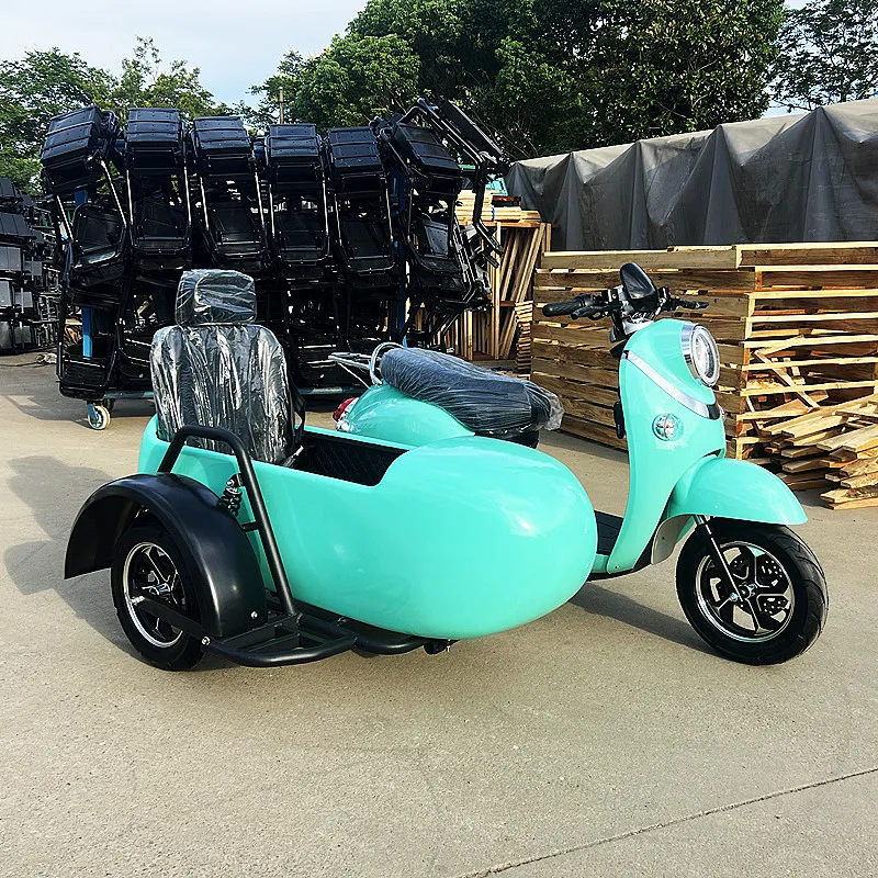 Electric side three-wheeled motorcycle, Baga car pedal electric vehicle
