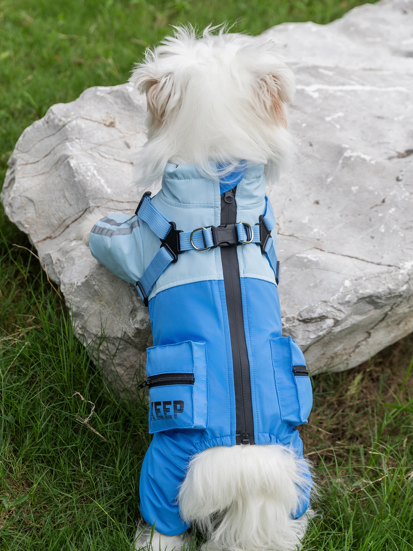 

Зимняя теплая одежда для собак: хлопковая куртка для тедди, бишонов, шнауцеров, повседневная, на четыре лапы, для маленьких собак и домашних животных