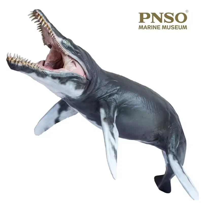 

PNSO Ocean Museum Kerulong Jeff 1:35 Science and Art Model Prehistoric Ocean Dominator Restoration Collection Ornament Gift