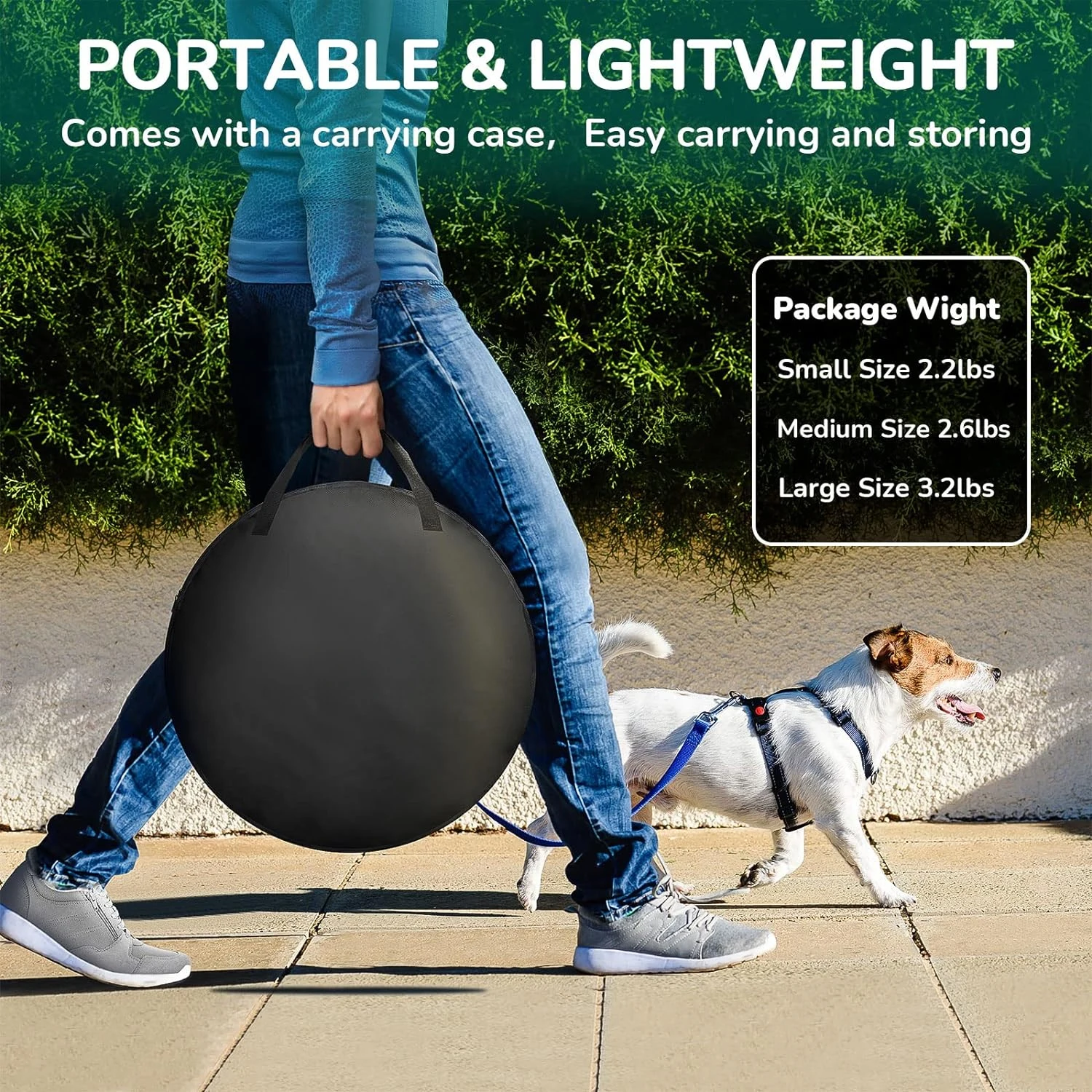 Thumbnail 4 - #4 Latest Dog Travel Crates Updates