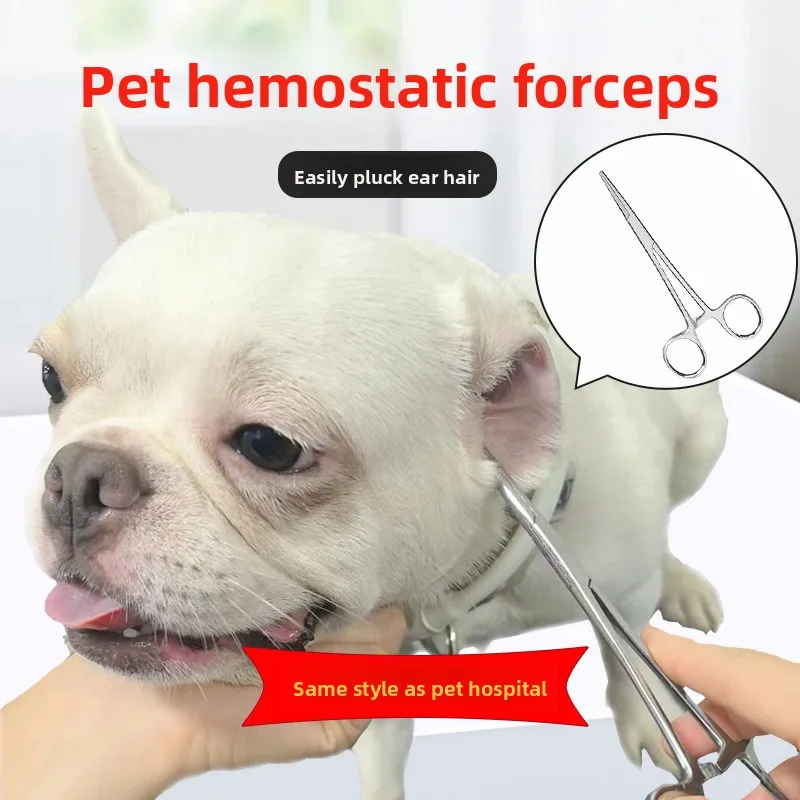 Pinzas para Quitar Pelo de Orejas de Mascotas, Pinzas para Pelo de Orejas de Perros y Gatos, Tijeras de Aseo para Perros, Pinzas Hemostáticas para Limpieza del Canal Auditivo