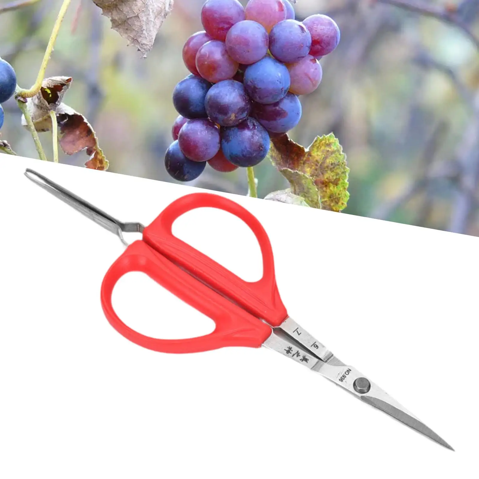 Garden Scissors with Tweezers,Pruner Shears Household Grapes Scissors Clippers Snips Fruit Picking for Trimming, Pruning,Farm