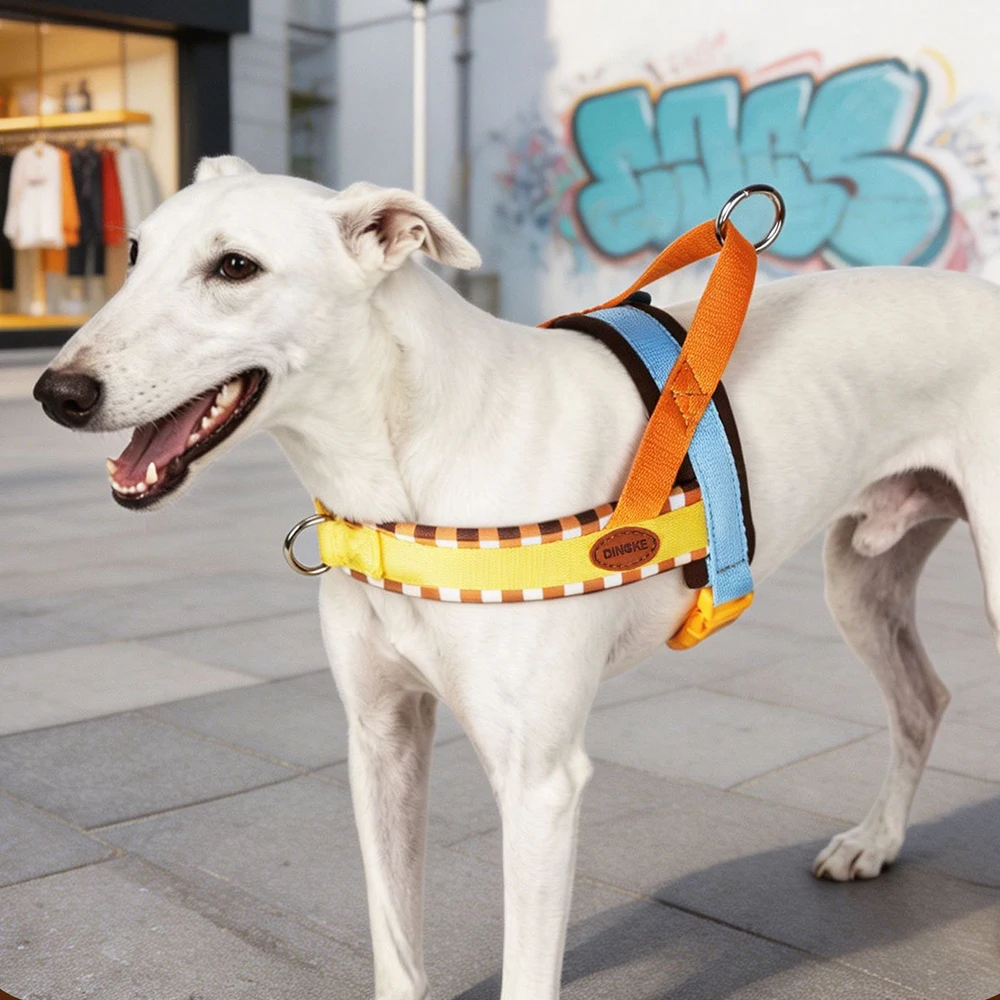 ชุดสายจูงและปลอกคอสุนัขสีแฟชั่ - No Pull Dog Harness บทวิจารณ์และราคา