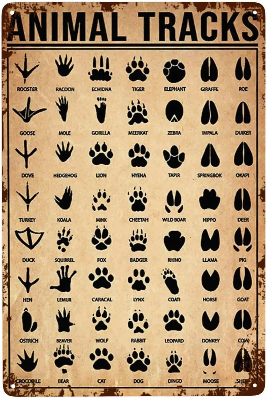 

Металлические жестяные знаки для детской комнаты, винтажные животные, треки, металлическая вывеска, животные, влюбленные, настенное искусство, Лесной детский Декор, лучший подарок 12x8