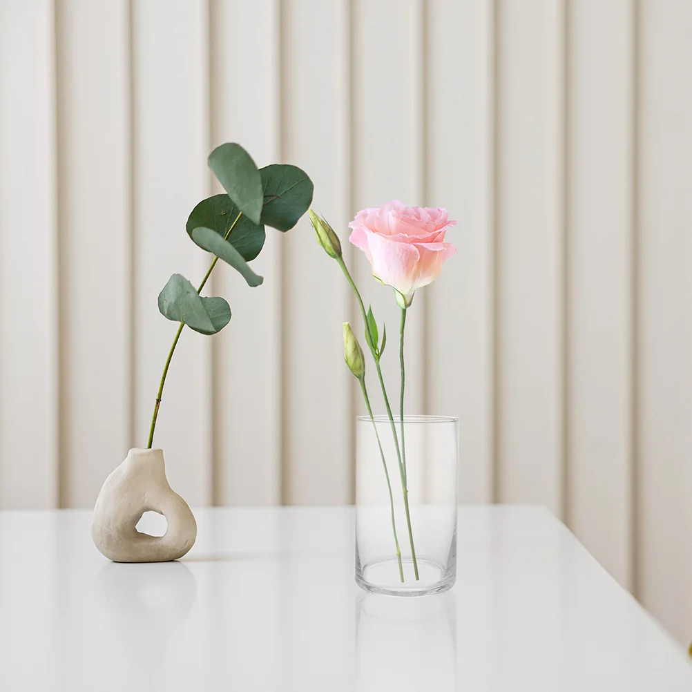 

3Pcs Transparent Glass Cylinder Flower Vase Hydroponic Plant Pot Smooth Surface Small Decorative Vase for Home Desk