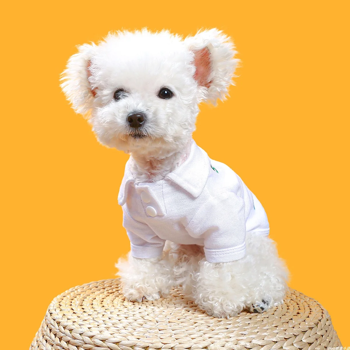 1PC Pet Clothing Cat Spring/Summer Thin White Pullover Digital Polo Color Suitable for Small and Medium Dogs