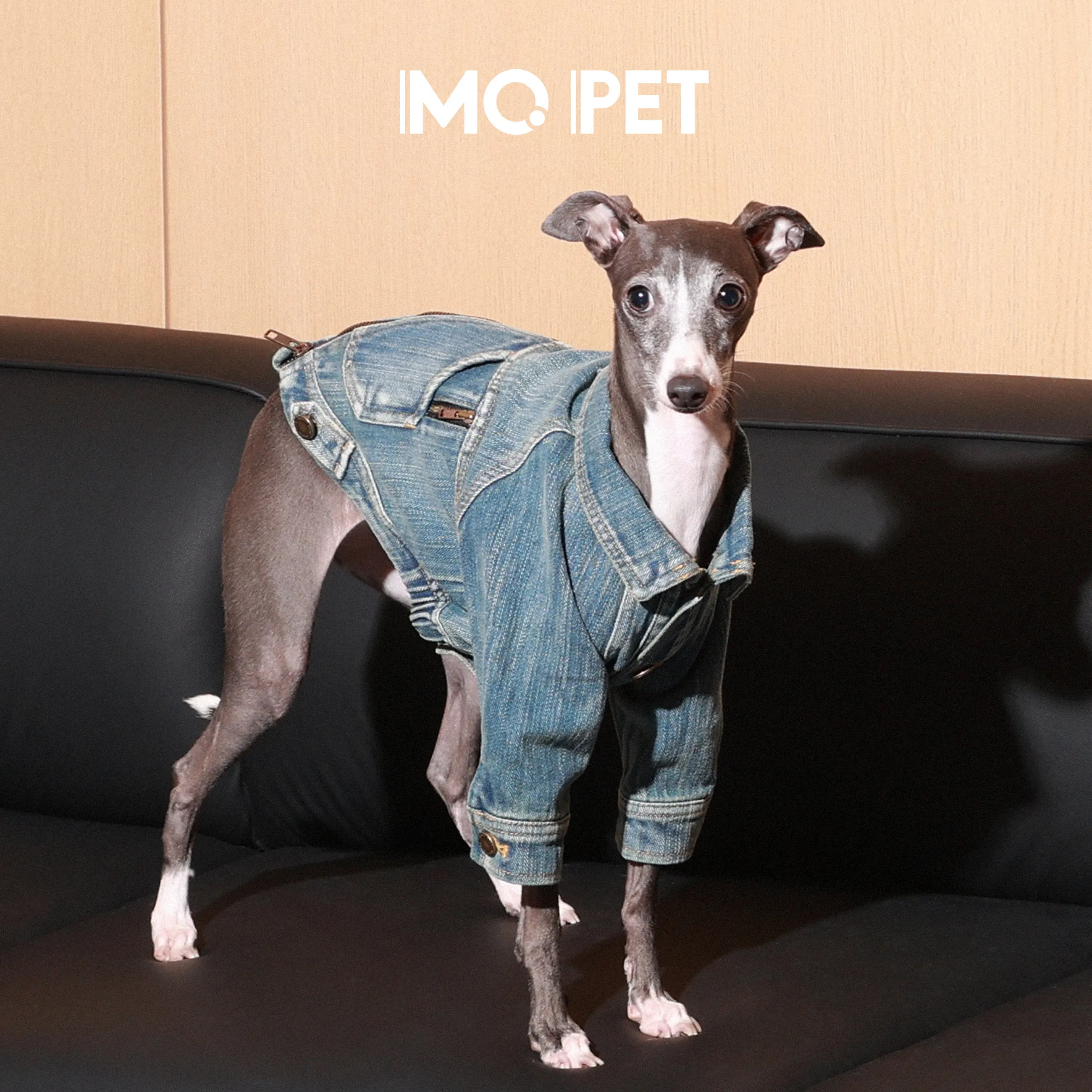 

Spring Hand-Brushed Distressed Slub Cotton Denim Blue Jacket Dog Clothes for Italian Greyhound Stylish 2-Leg Coat for Schnauzer