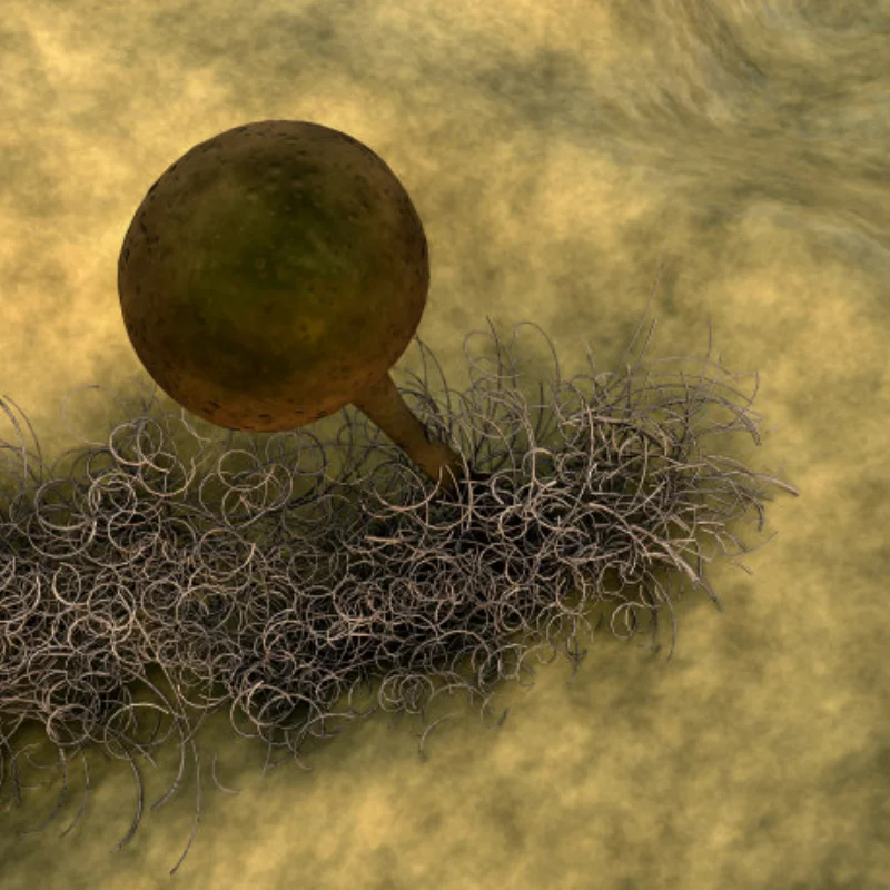 

1.9 Inch 120mm Rubber Tires+metal Wheel Hub For 1/10 Rc Crawler Car Trxs Trx4 Trx6 Axial Scx10 90046 Redcat Yikong Rc4wd Rgt