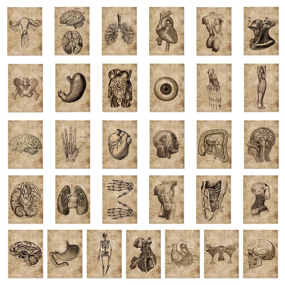 56 sztuk anatomia fizjologia ludzki szkielet Horror naklejki struktura ciała naklejki naklejki na gitarę bagaż Notebook podkładka pod laptopa