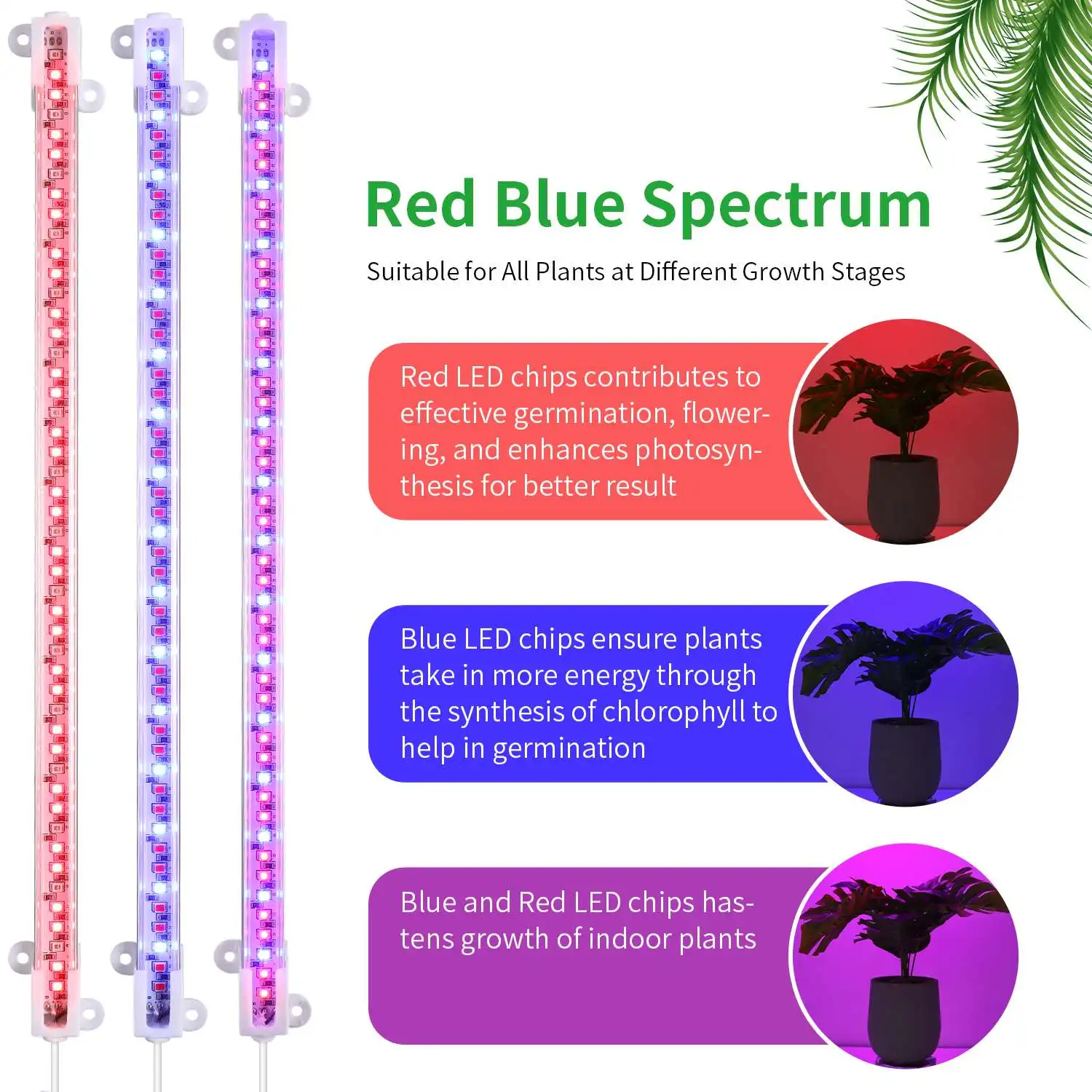 LED Full Spectrum Plant Grow Light for Indoor Plants with Auto Timer 3/6/12 Hours, USB Dimmable Simulates Sunlight Red and Blue