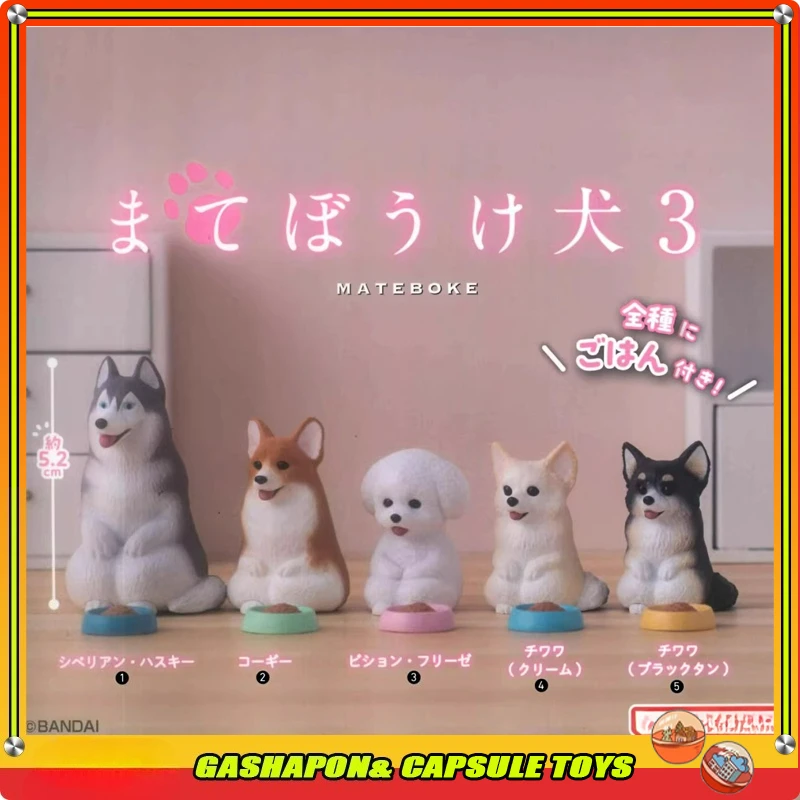 

Genuine Action Figure Model Cute Dog Waiting for Styling Decoration Husky Kirky Gashapon Ball Fast Shipping Collect Ornaments