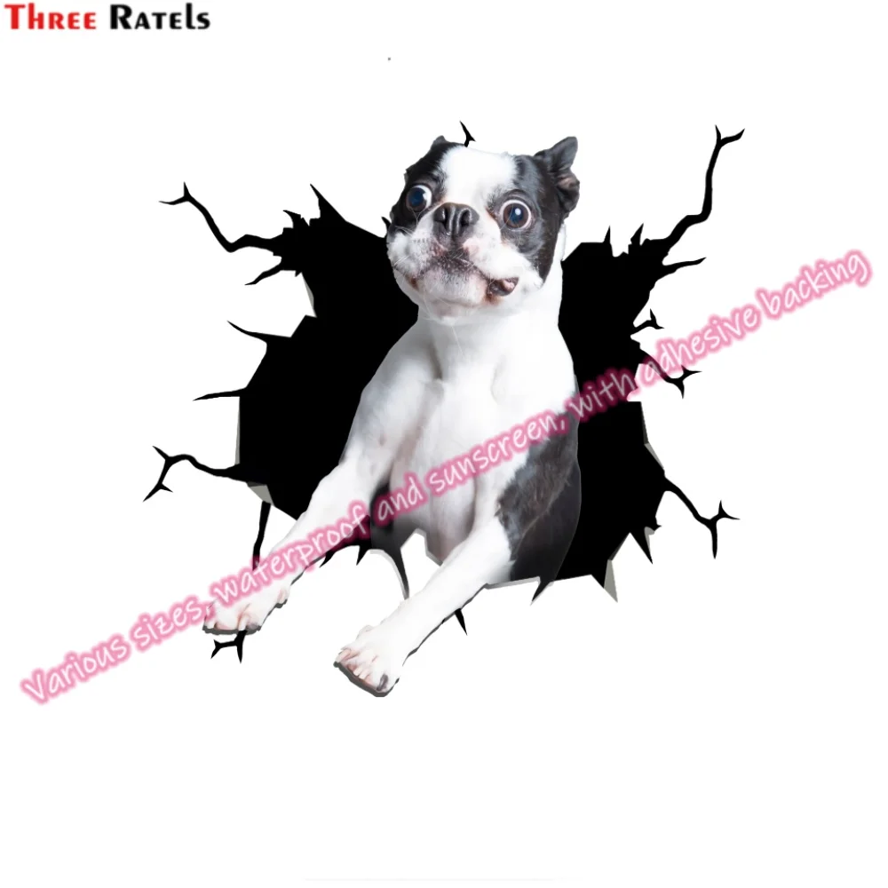 Three Ratels LD-12784 Adhesive Vinyl Accessories for BMW F30 for Opel Astra H Accessories Motorcycle Stickers Car Gadgets