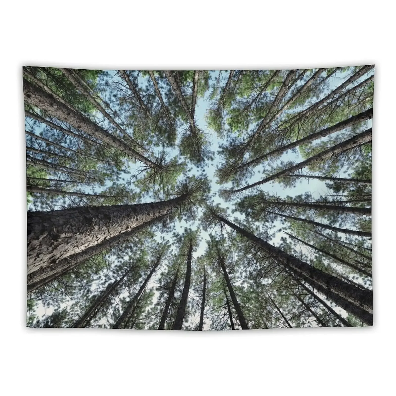 Tree tops of pine forest art photo print Tapestry Decor For Room Home Decorations Aesthetic Wall Decoration Tapestry