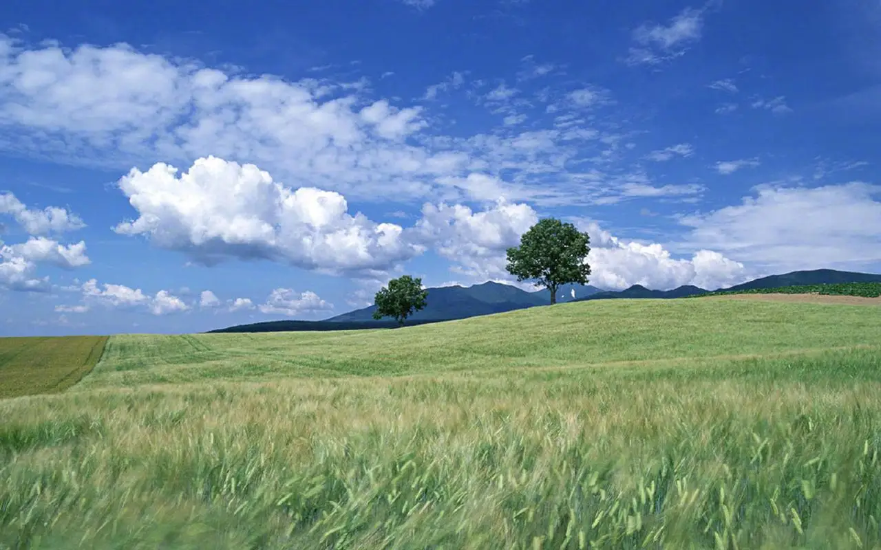 RC M3 M4 M5 اللون سبائك الألومنيوم قفل الجوز النايلون حلقة الجوز نموذج سيارة وقارب وطائرات